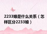 2233娘是什么关系（怎样区分2233娘）