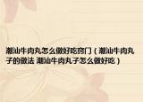 潮汕牛肉丸怎么做好吃窍门（潮汕牛肉丸子的做法 潮汕牛肉丸子怎么做好吃）