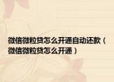 微信微粒贷怎么开通自动还款（微信微粒贷怎么开通）