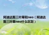 阿迪达斯三叶草和neo（阿迪达斯三叶草neo什么区别）