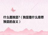 什么是独显?（独显是什么意思 独显的含义）