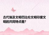 古代埃及文明巴比伦文明印度文明的共同特点是?