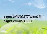 pages文件怎么打开wps文件（pages文件怎么打开）