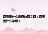 洞见是什么意思的同义词（洞见是什么意思）