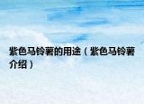 紫色马铃薯的用途（紫色马铃薯介绍）