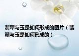 翡翠与玉是如何形成的图片（翡翠与玉是如何形成的）