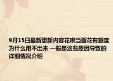 9月15日最新更新内容花呗当面花有额度为什么用不出来 一般是这些原因导致的 详细情况介绍