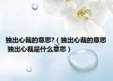独出心裁的意思?（独出心裁的意思 独出心裁是什么意思）