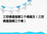 三世佛是指哪三个佛藏文（三世佛是指哪三个佛）