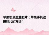 苹果怎么遮盖照片（苹果手机遮盖照片的方法）