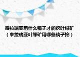 泰拉瑞亚用什么稿子才能挖叶绿矿（泰拉瑞亚叶绿矿用哪些稿子挖）