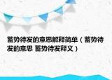 蓄势待发的意思解释简单（蓄势待发的意思 蓄势待发释义）