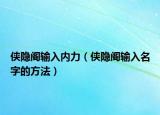 侠隐阁输入内力（侠隐阁输入名字的方法）