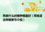 茼蒿什么时候种植最好（茼蒿适合种植季节介绍）