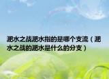 淝水之战淝水指的是哪个支流（淝水之战的淝水是什么的分支）