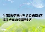 今日最新更新内容 蚂蚁借呗如何提额 分享借呗提额技巧