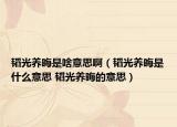韬光养晦是啥意思啊（韬光养晦是什么意思 韬光养晦的意思）