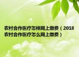 农村合作医疗怎样网上缴费（2018农村合作医疗怎么网上缴费）