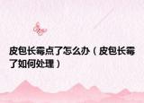 皮包长霉点了怎么办（皮包长霉了如何处理）