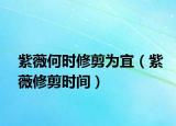 紫薇何时修剪为宜（紫薇修剪时间）