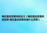 梅花香自苦寒来的含义（梅花香自苦寒来的意思 梅花香自苦寒来是什么意思）