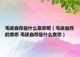 毛遂自荐是什么意思呢（毛遂自荐的意思 毛遂自荐是什么意思）