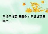 手机干扰码 是哪个（手机扰码是哪个）
