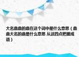 大名鼎鼎的鼎在这个词中是什么意思（鼎鼎大名的鼎是什么意思 从这四点把握成语）