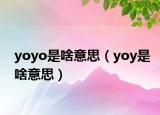 yoyo是啥意思（yoy是啥意思）