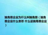 独角兽企业为什么叫独角兽（独角兽企业什么意思 什么是独角兽企业）