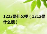 1222是什么梗（1212是什么梗）