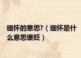 缅怀的意思?（缅怀是什么意思褒贬）