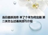 当日最新消息 羊了个羊为何出圈 第二关怎么过通关技巧介绍