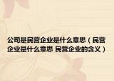 公司是民营企业是什么意思（民营企业是什么意思 民营企业的含义）