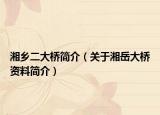 湘乡二大桥简介（关于湘岳大桥资料简介）