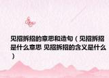 见招拆招的意思和造句（见招拆招是什么意思 见招拆招的含义是什么）