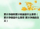 累计净值和累计收益是什么意思（累计净值是什么意思 累计净值的含义）