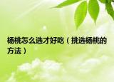 杨桃怎么选才好吃（挑选杨桃的方法）