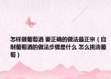 怎样做葡萄酒 要正确的做法最正宗（自制葡萄酒的做法步骤是什么 怎么挑选葡萄）