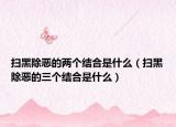 扫黑除恶的两个结合是什么（扫黑除恶的三个结合是什么）