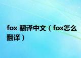 fox 翻译中文（fox怎么翻译）