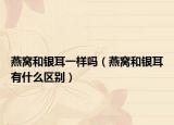 燕窝和银耳一样吗（燕窝和银耳有什么区别）