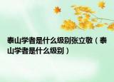 泰山学者是什么级别张立敬（泰山学者是什么级别）