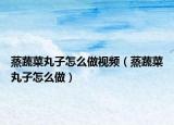 蒸蔬菜丸子怎么做视频（蒸蔬菜丸子怎么做）