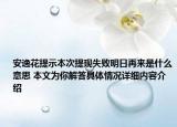 安逸花提示本次提现失败明日再来是什么意思 本文为你解答具体情况详细内容介绍
