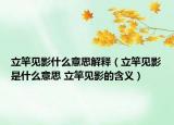 立竿见影什么意思解释（立竿见影是什么意思 立竿见影的含义）