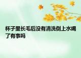 杯子里长毛后没有清洗倒上水喝了有事吗