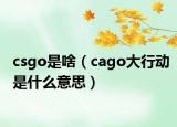 csgo是啥（cago大行动是什么意思）