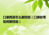 口袋西游怎么刷经验（口袋妖怪如何刷经验）