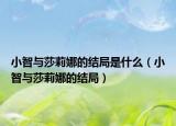 小智与莎莉娜的结局是什么（小智与莎莉娜的结局）
